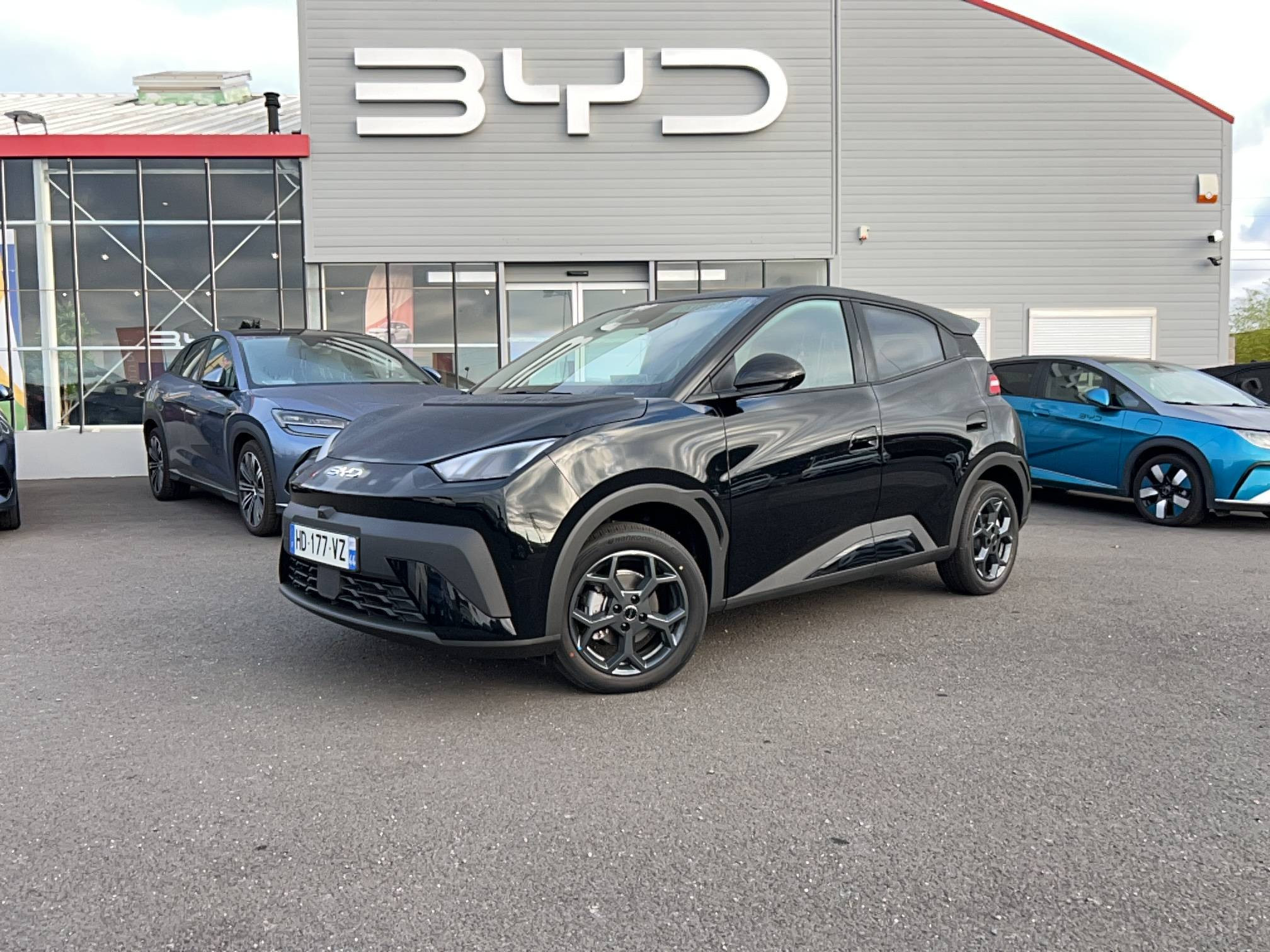 Byd Dolphin Surf  43.2 kWh 156 ch occasion de 2025 en vente à Nantes