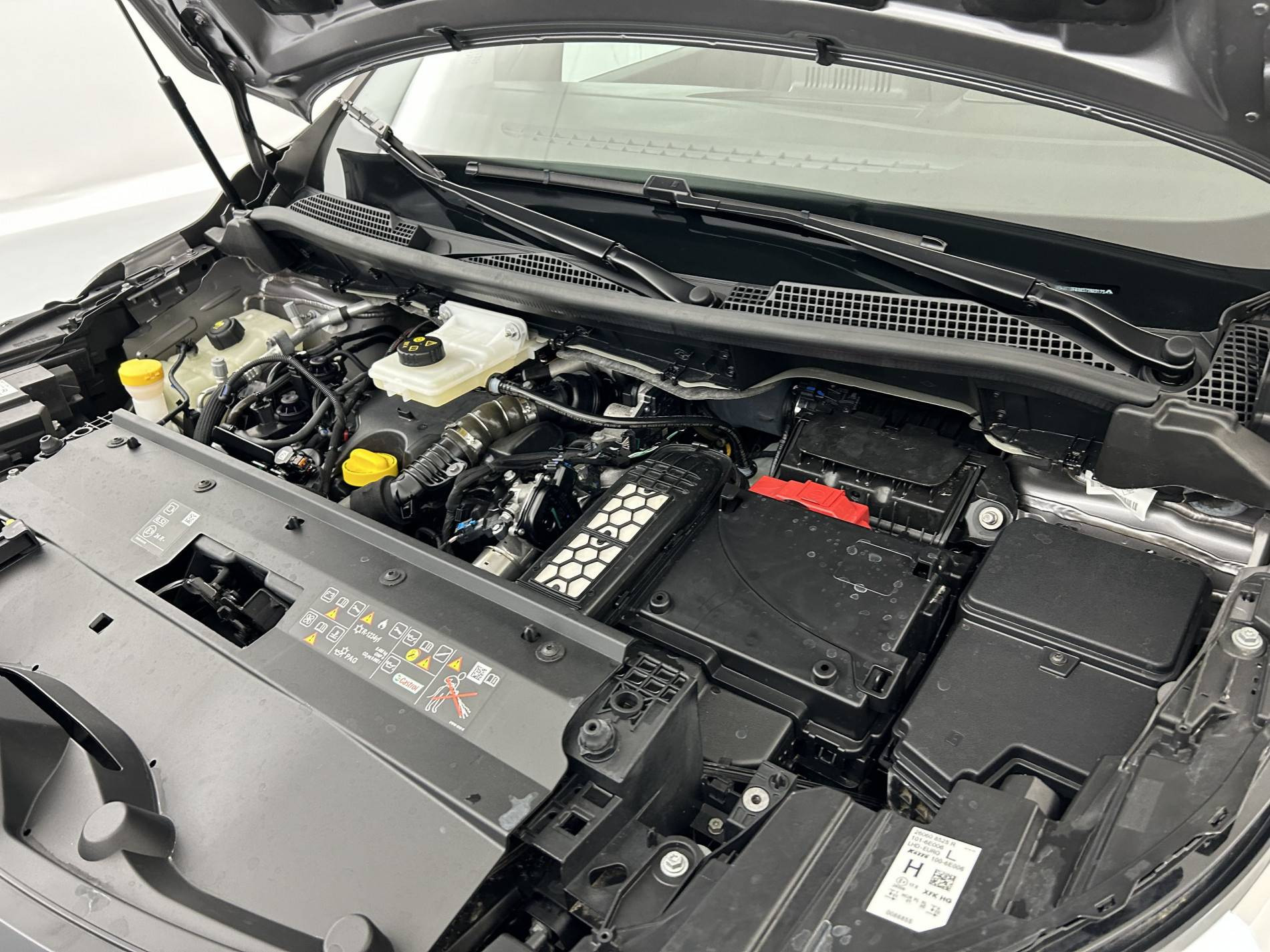 Vente en ligne Renault Kangoo  Blue dCi 95 au prix de 23 990 €
