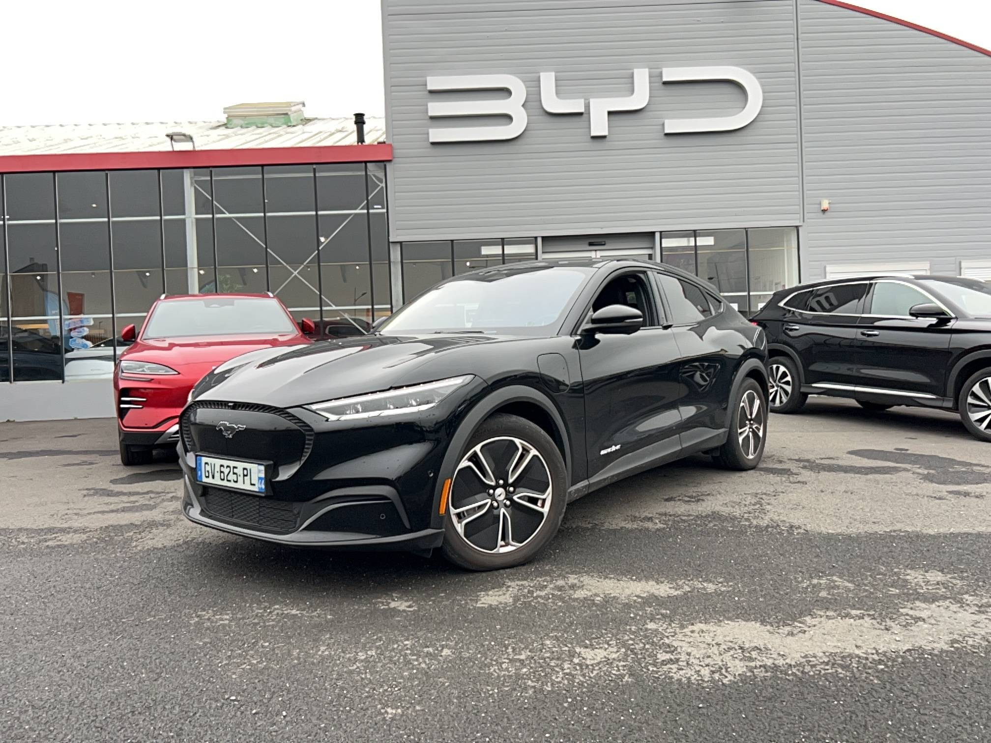 Ford Mustang  Standard Range 72,6 kWh 269 ch occasion de 2024 en vente à Nantes