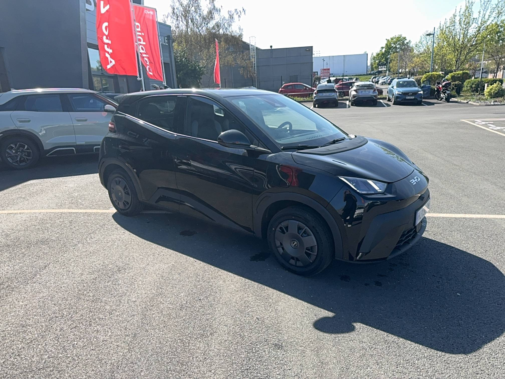 Vente en ligne Byd Dolphin Surf  30 kWh 88 ch au prix de 18 990 €