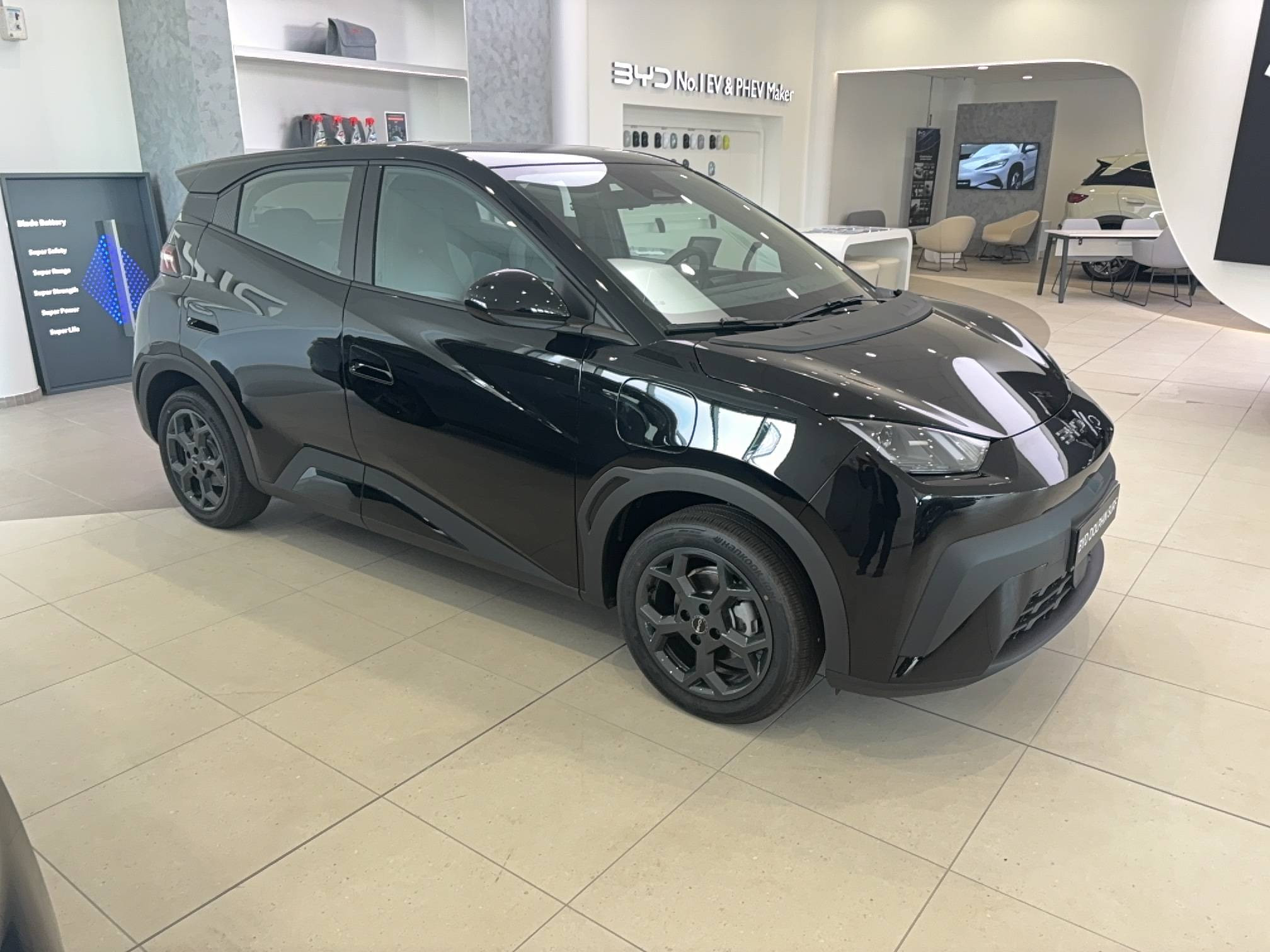 Vente en ligne Byd Dolphin Surf  43.2 kWh 88 ch au prix de 20 490 €