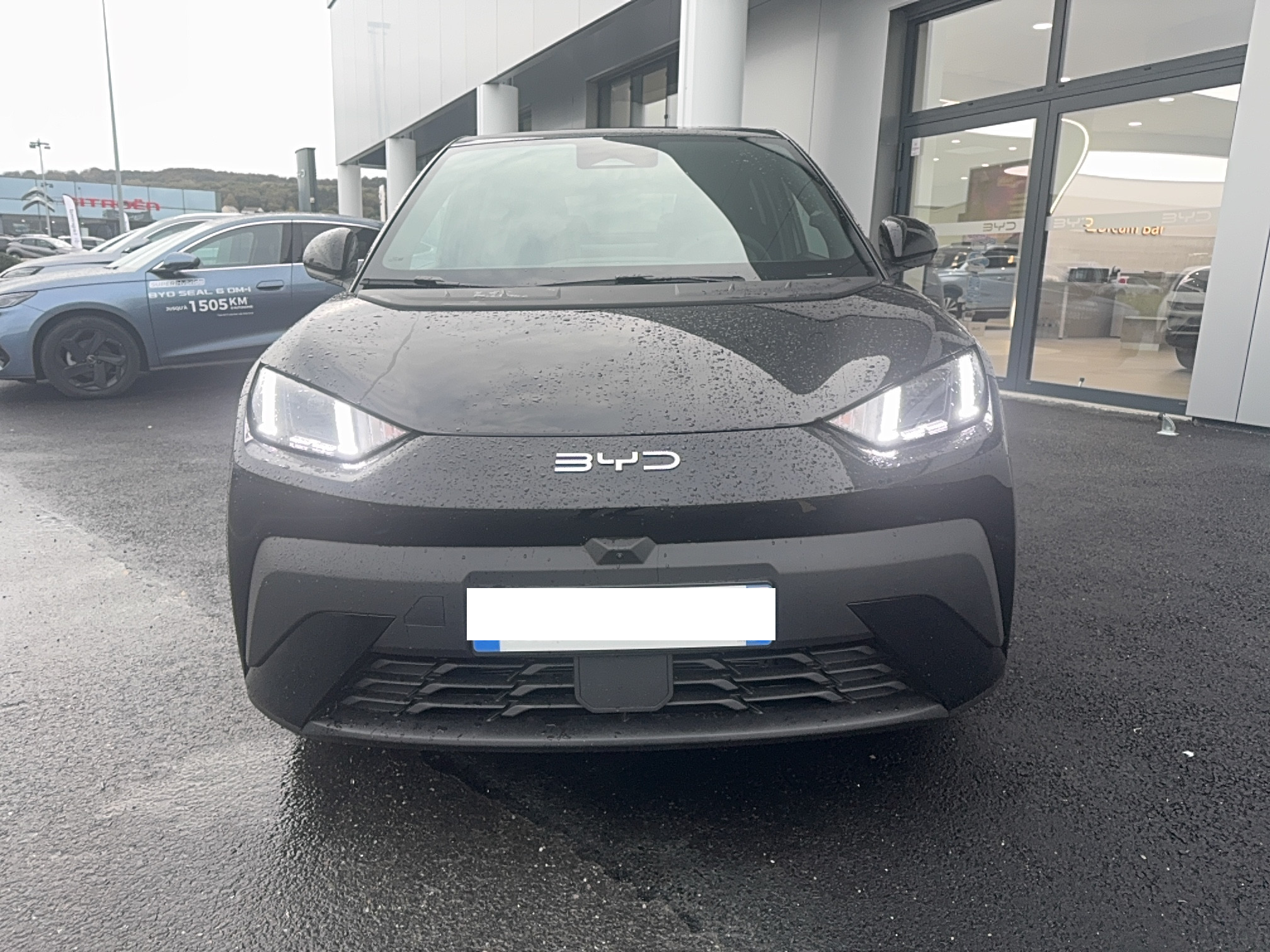 Vente en ligne Byd Dolphin Surf  43.2 kWh 156 ch au prix de 22 590 €