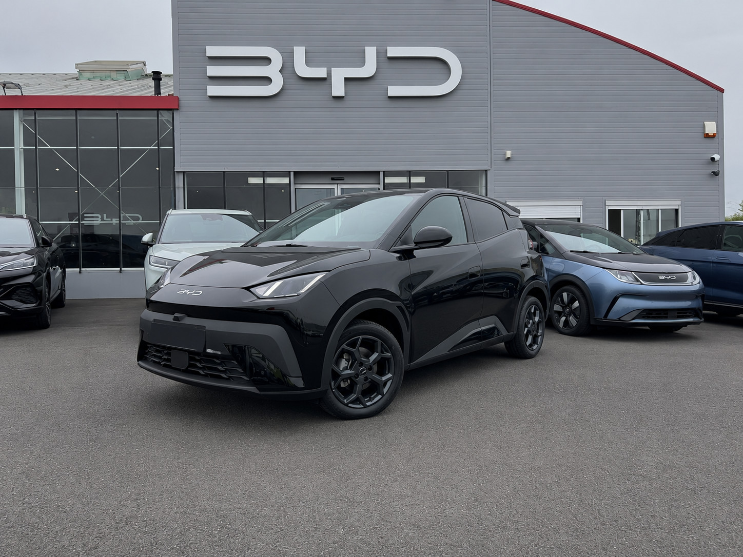 Byd Dolphin Surf  43.2 kWh 156 ch occasion de 2025 en vente à Nantes