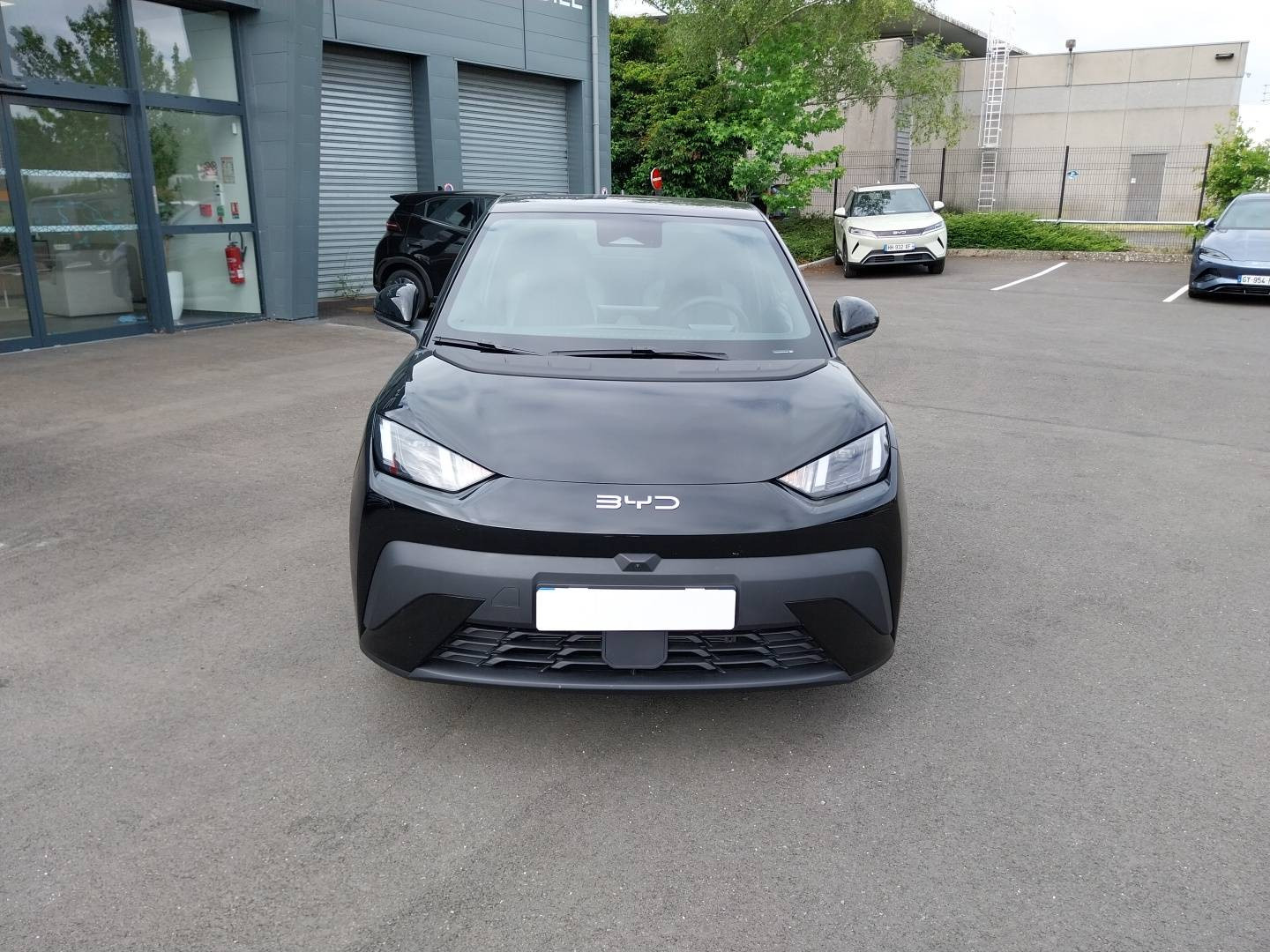 Vente en ligne Byd Dolphin Surf  43.2 kWh 156 ch au prix de 22 890 €