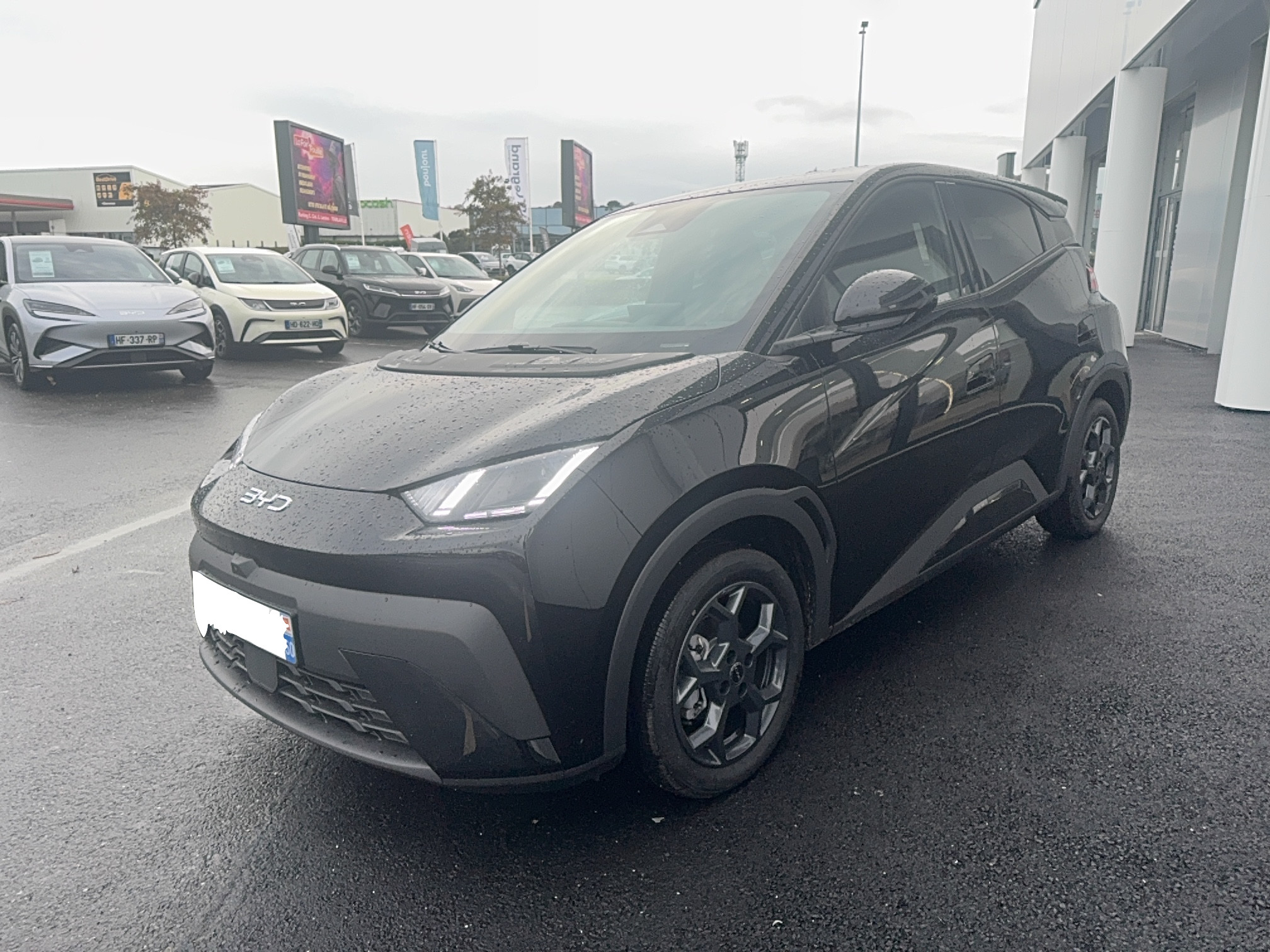 Byd Dolphin Surf  43.2 kWh 156 ch occasion de 2025 en vente à Cherbourg