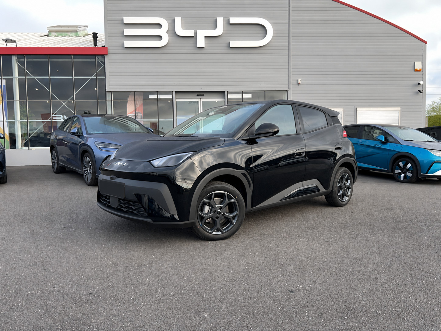Byd Dolphin Surf  43.2 kWh 156 ch occasion de 2025 en vente à Nantes