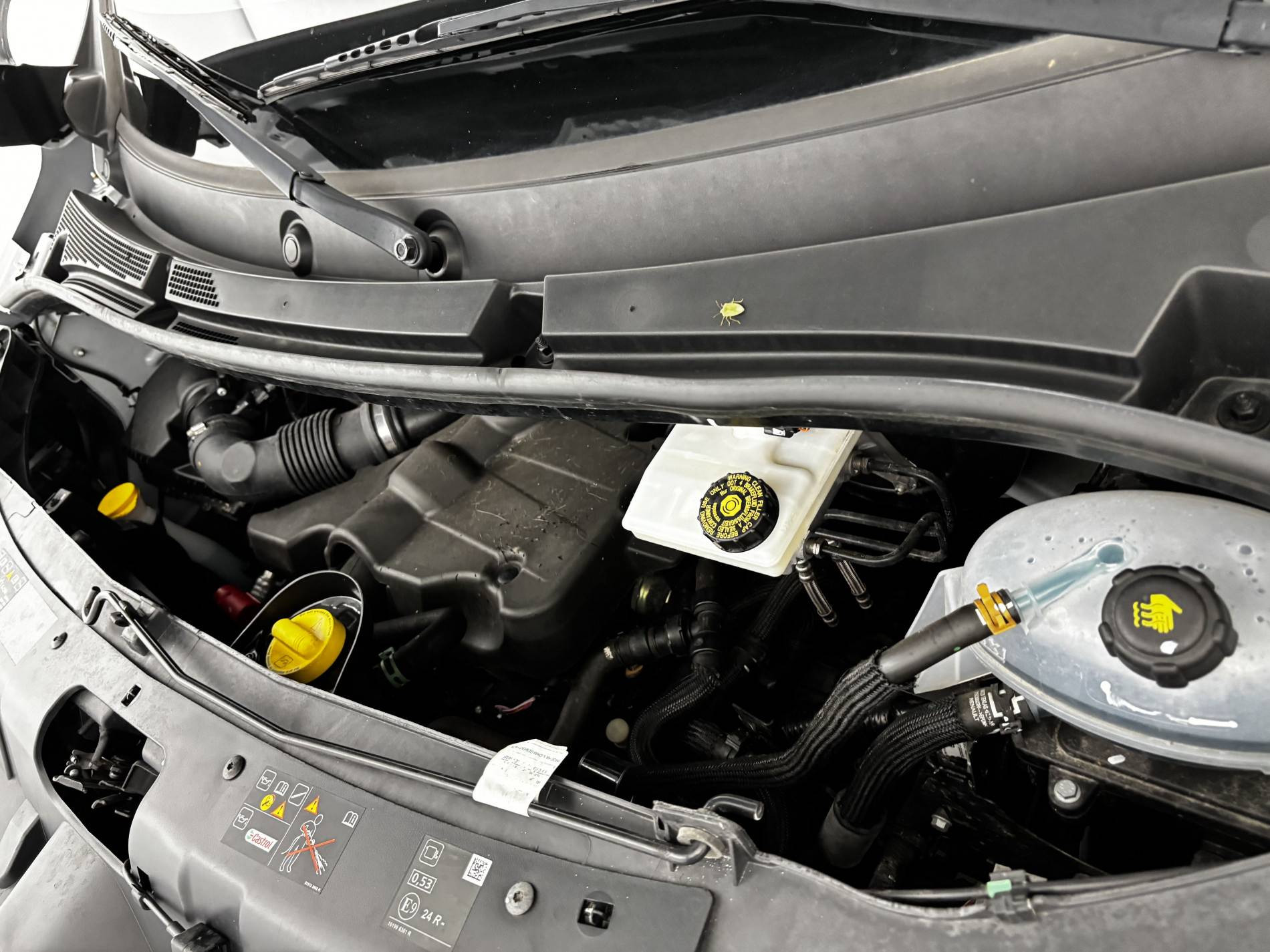 Vente en ligne Renault Master Fourgon MASTER FGN TRAC F3500 L2H2 BLUE DCI 135 au prix de 23 590 €