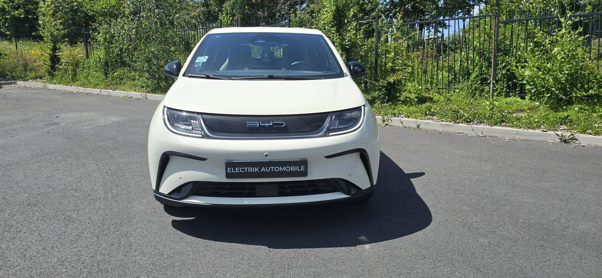 Vente en ligne Byd Dolphin  60,4 kWh 204 ch au prix de 21 990 €