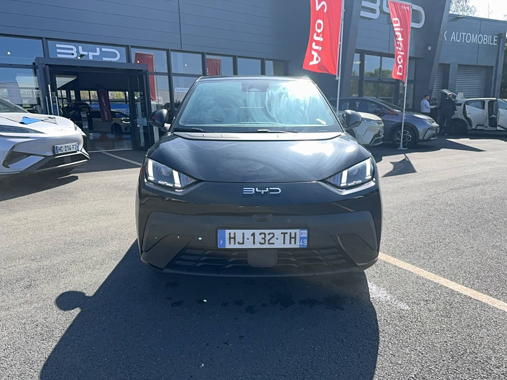Byd Dolphin Surf  30 kWh 88 ch occasion de 2026 en vente à Angers