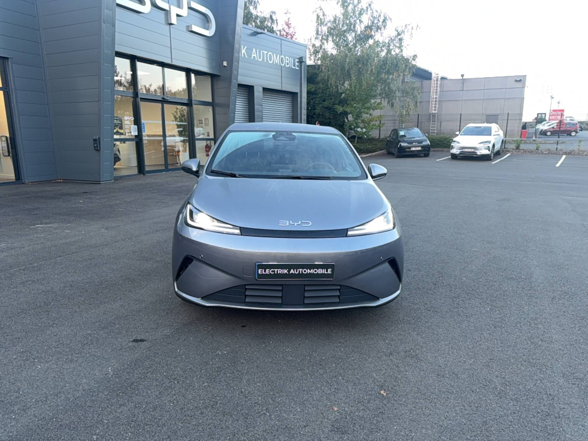 Vente en ligne Byd Dolphin G  1.5 DM-i PHEV 212 ch au prix de 24 390 €