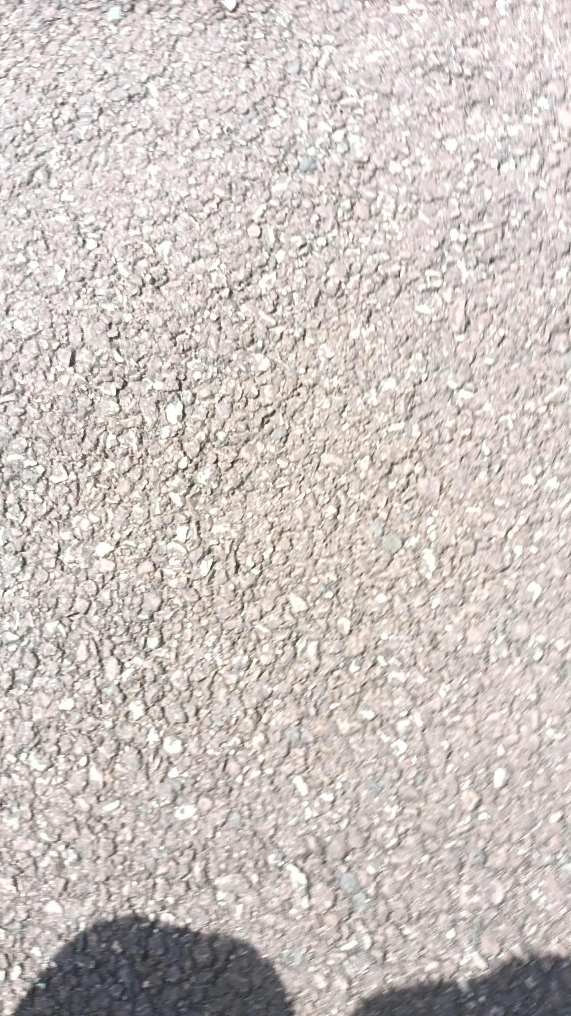 Vente en ligne Renault Clio 5 Clio TCe 90 au prix de 12 990 €