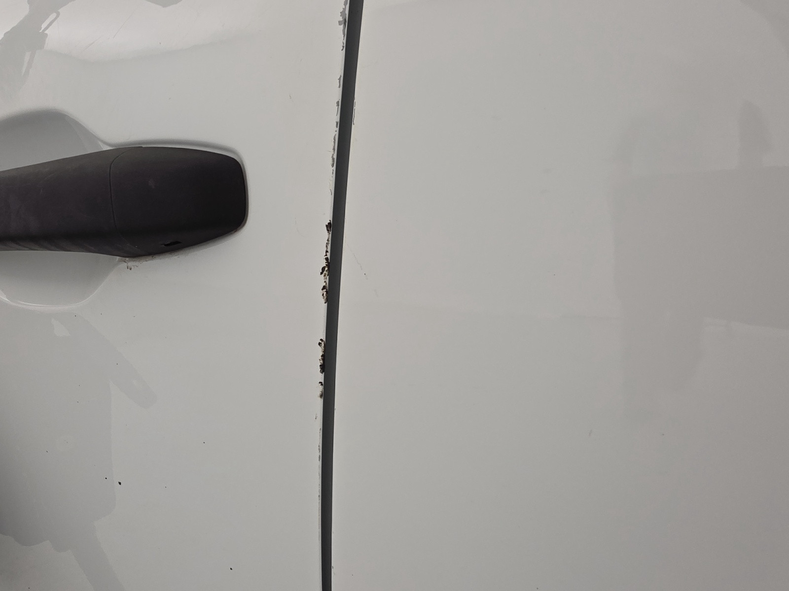 Vente en ligne Renault Express Van  BLUE DCI 95 - 22 au prix de 14 790 €