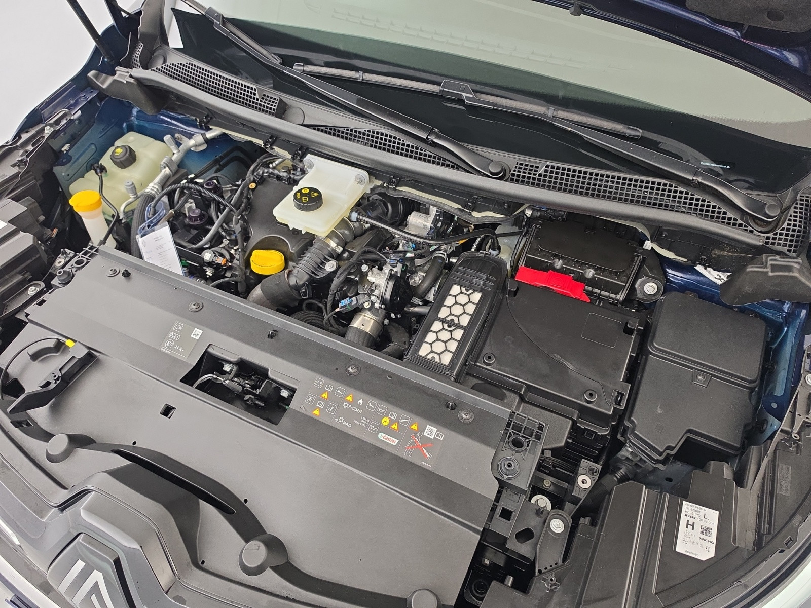 Vente en ligne Renault Kangoo  Blue dCi 115 auto au prix de 34 990 €