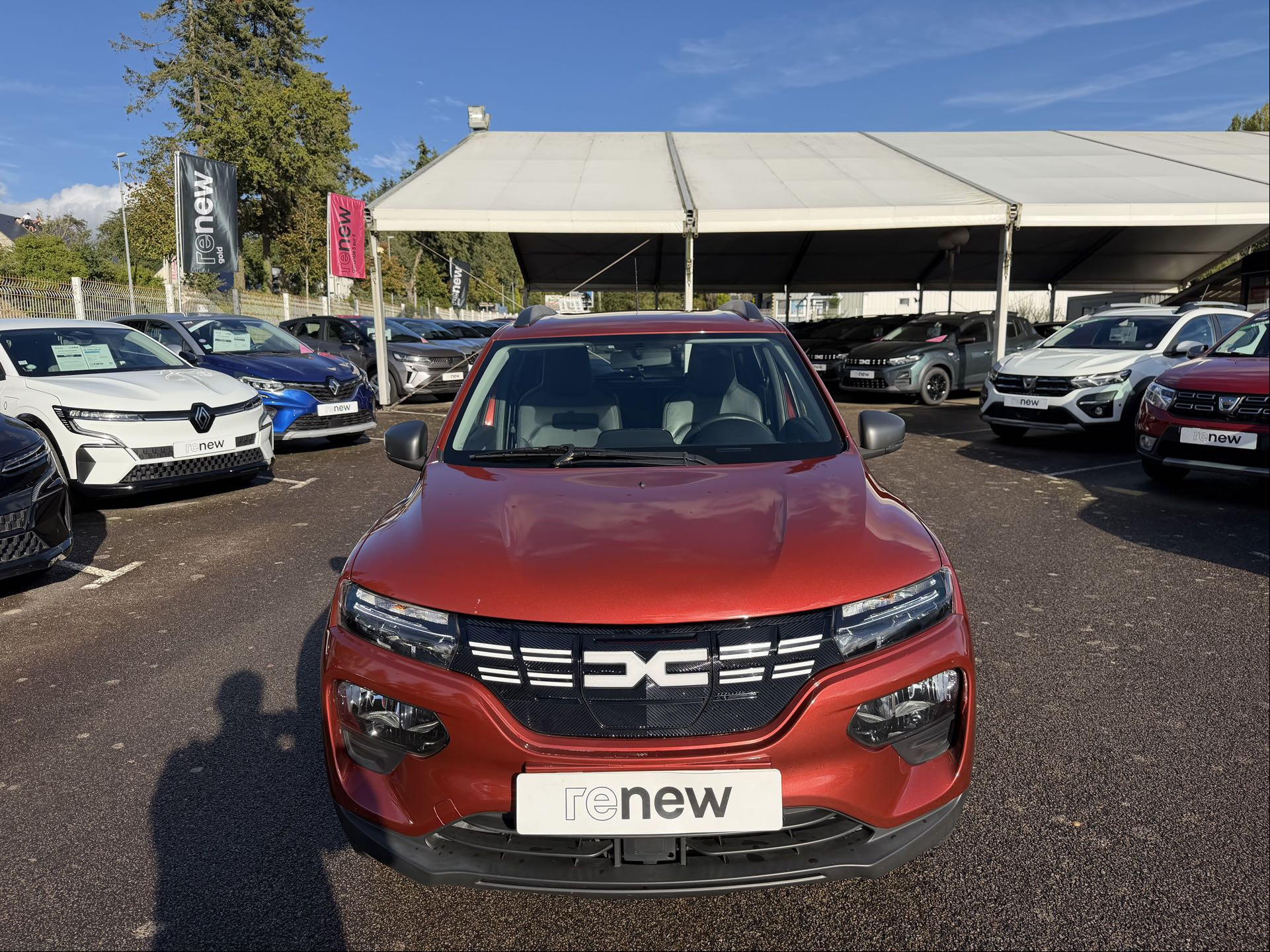 Vente en ligne Dacia Spring Spring au prix de 11 490 €