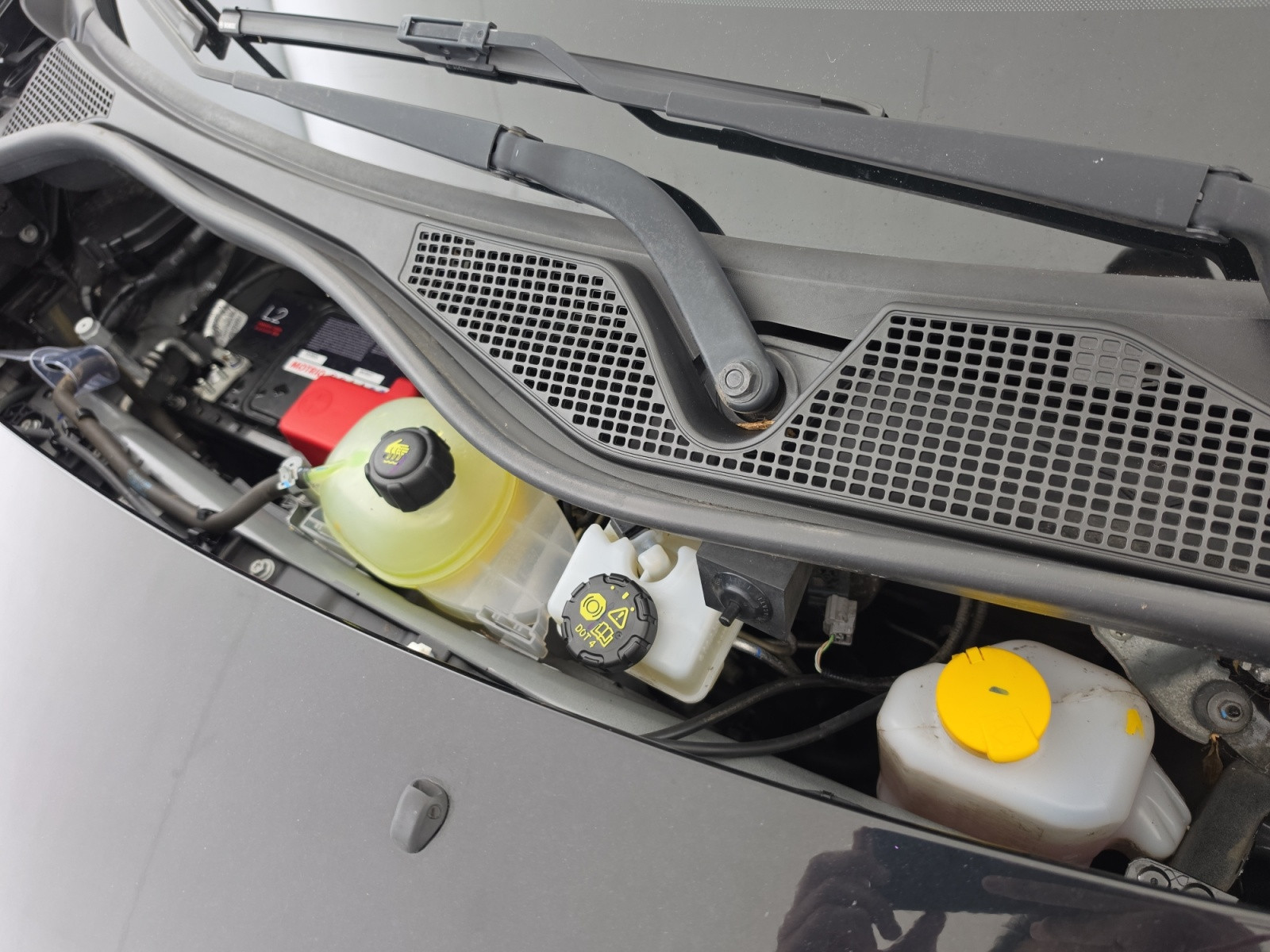 Vente en ligne Renault Twingo Electrique Twingo III Achat Intégral - 21 au prix de 11 900 €