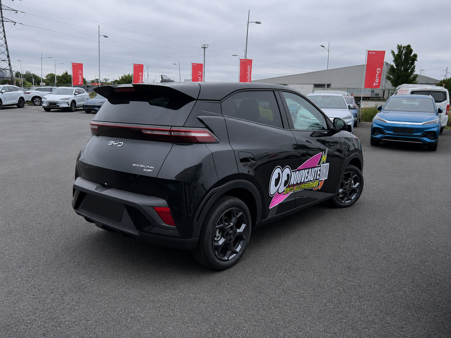 Byd Dolphin Surf  43.2 kWh 156 ch occasion de 2025 en vente à Nantes