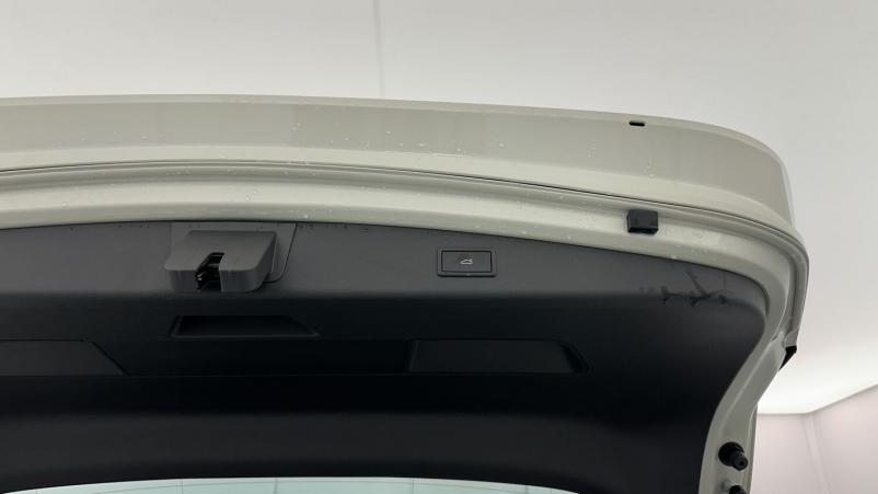 Vente en ligne Cupra Cupra Leon Sportstourer Leon st 2.0 TDI 150ch V DSG7 au prix de 34 400 €