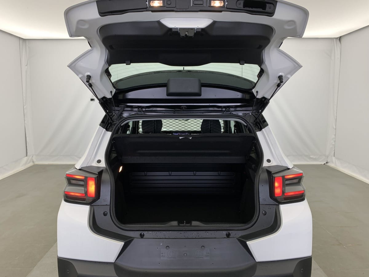 Vente en ligne Citroën C3 TURBO 100 BVM PRO au prix de 14 600 €