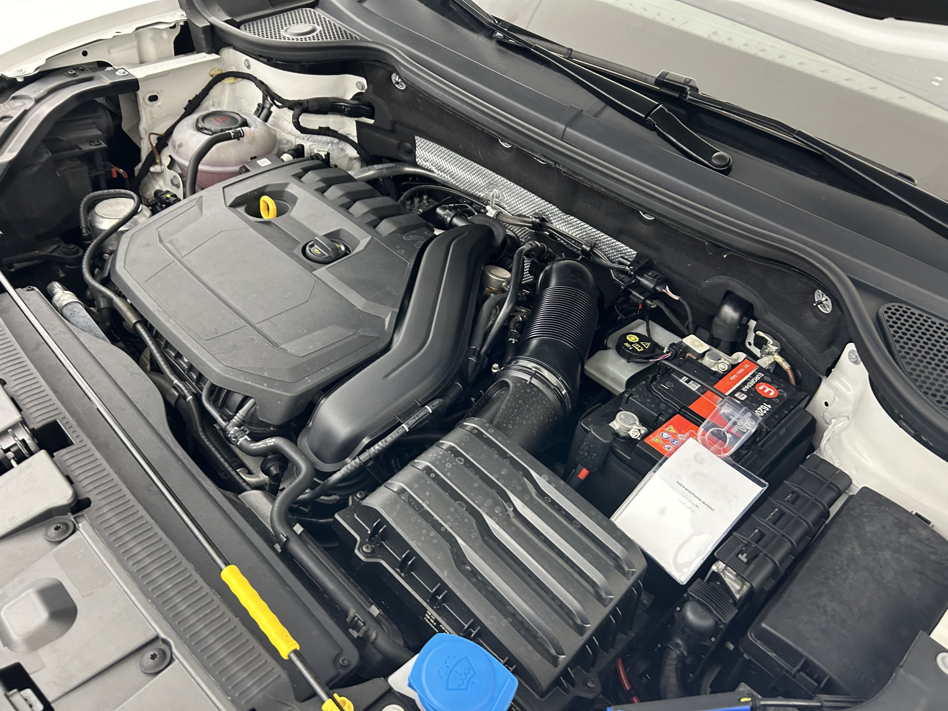 Vente en ligne Seat Ateca 1.5 TSI 150ch FR DSG + Toit ouvrant + Options au prix de 25 990 €