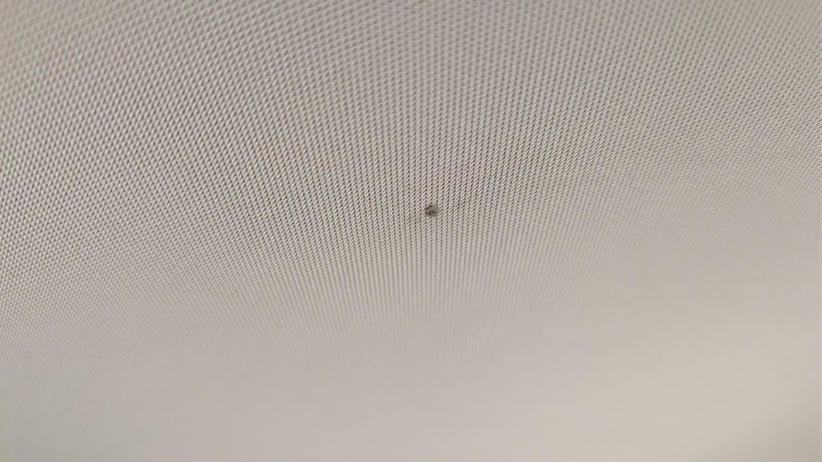 Vente en ligne Skoda Octavia Combi 2.0 TDI 150 ch DSG7 Ambition au prix de 25 420 €