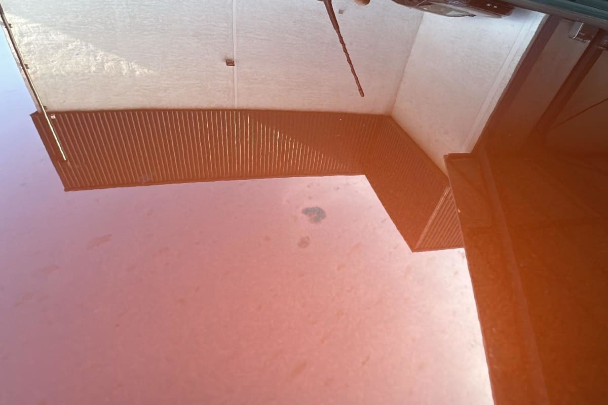 Vente en ligne Citroën Ë-C4 136 ch Automatique Feel au prix de 14 710 €