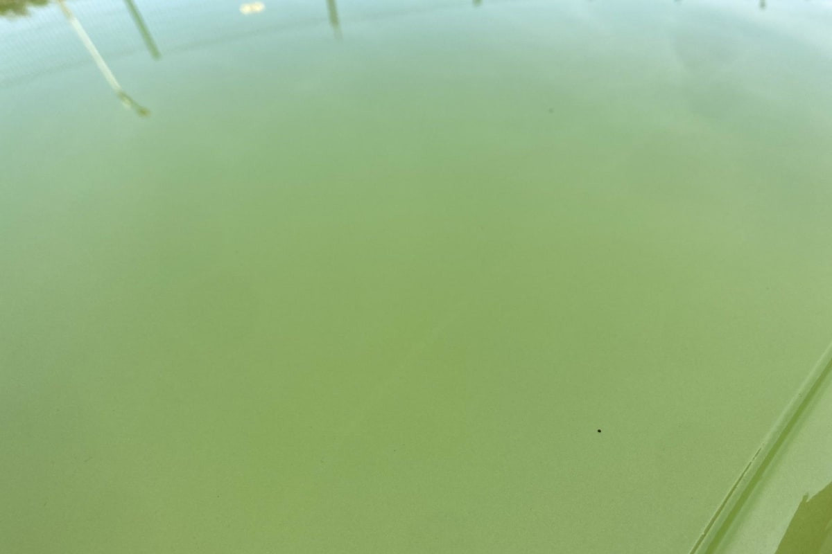 Vente en ligne Peugeot 208 PureTech 100 S S BVM6 Active au prix de 14 180 €