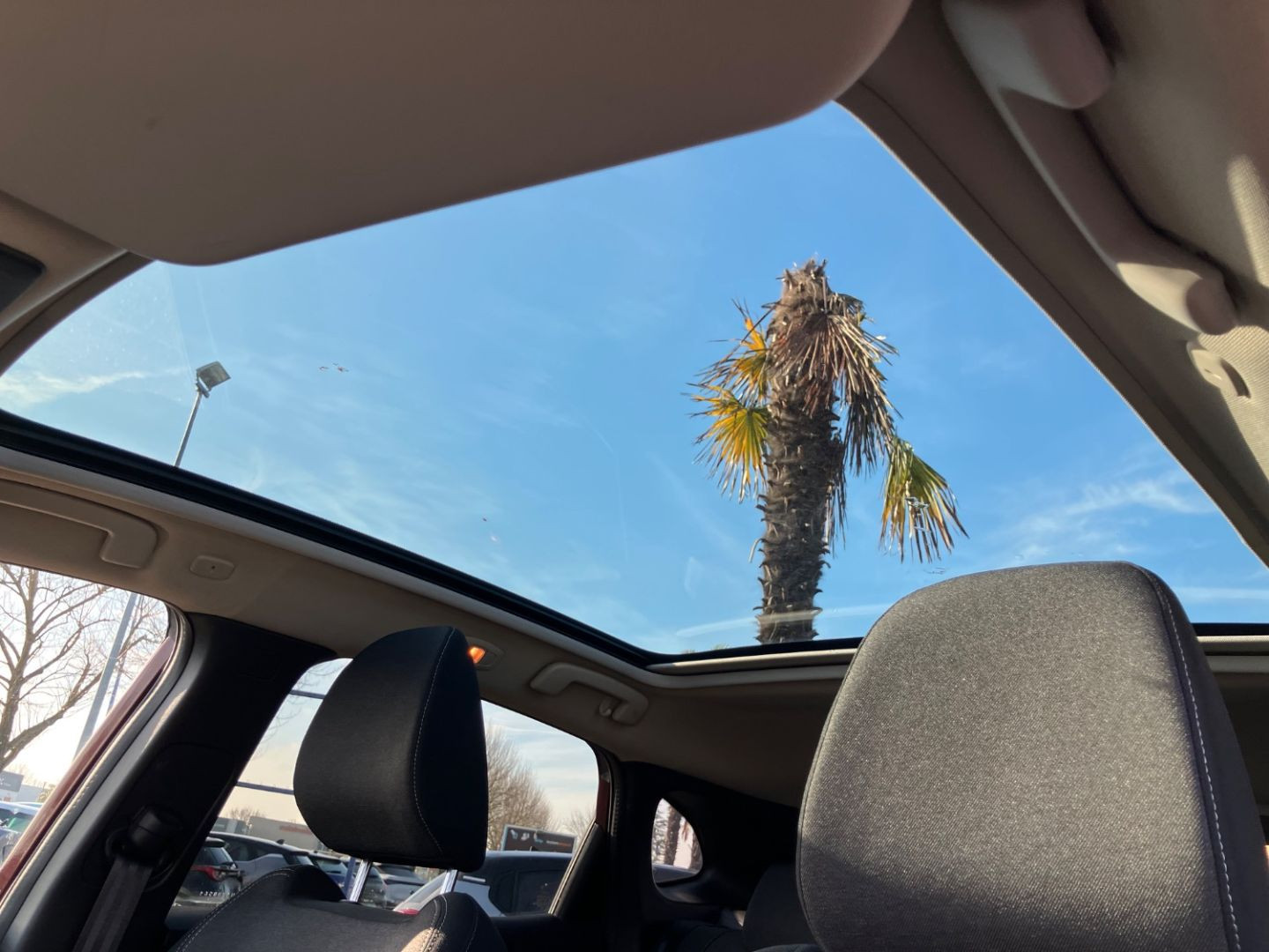 NISSAN Qashqai en vente à Montauban chez votre mandataire automobile