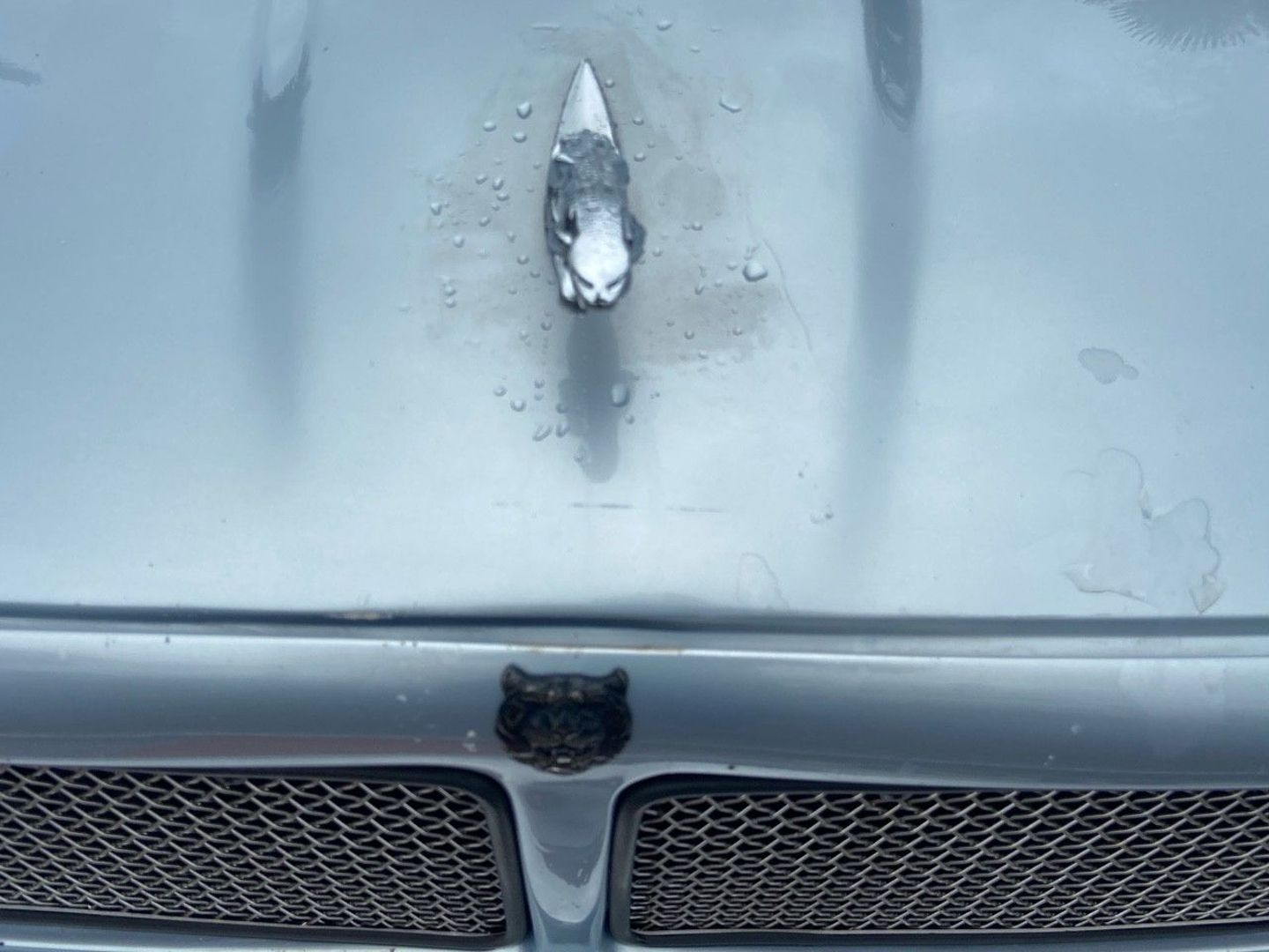 JAGUAR XJR en vente à Albi chez votre mandataire automobile