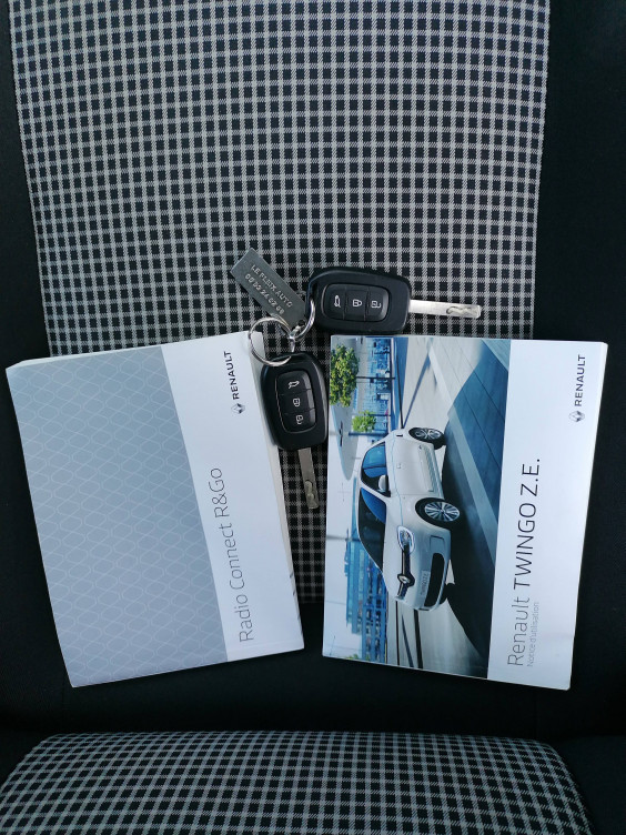 Acheter Renault Twingo Electrique Twingo III Achat Intégral Life 5p occasion dans les concessions du Groupe Faurie