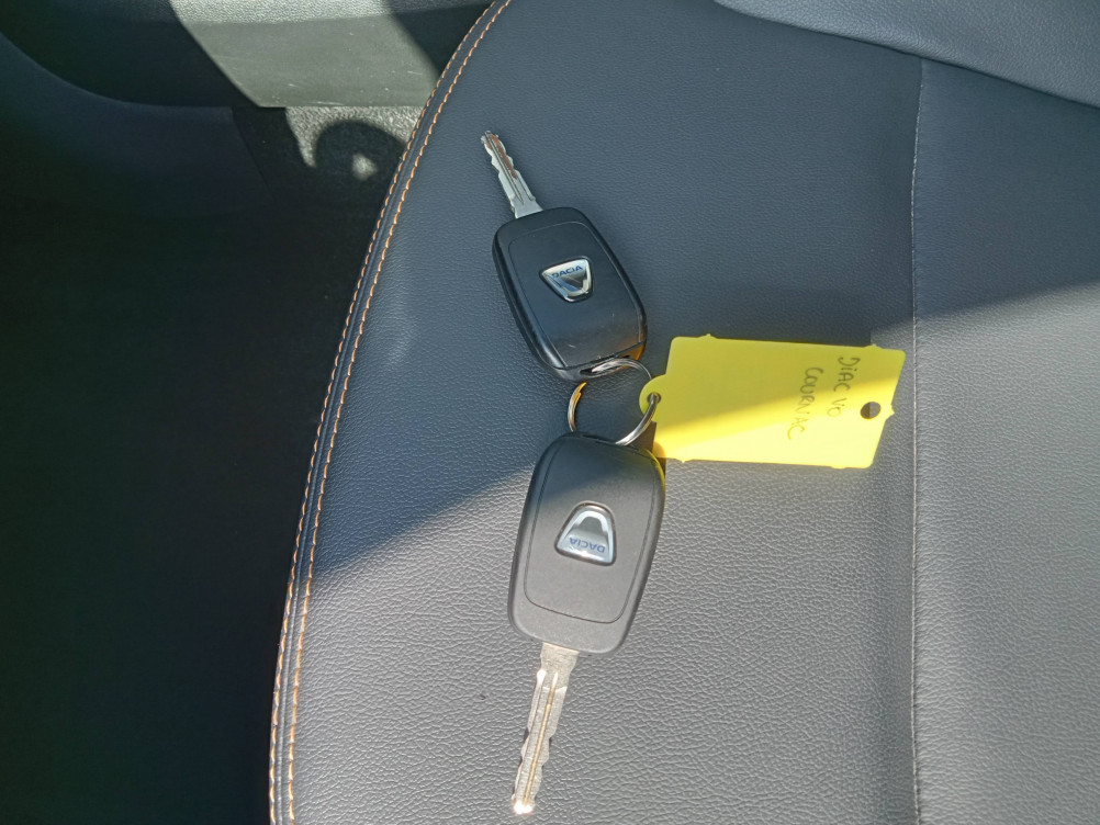 Acheter Dacia Spring Spring Achat Intégral Confort Plus 5p occasion dans les concessions du Groupe Faurie