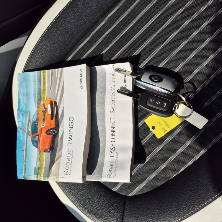 Acheter Renault Twingo 3 Twingo III TCe 95 Intens 5p occasion dans les concessions du Groupe Faurie