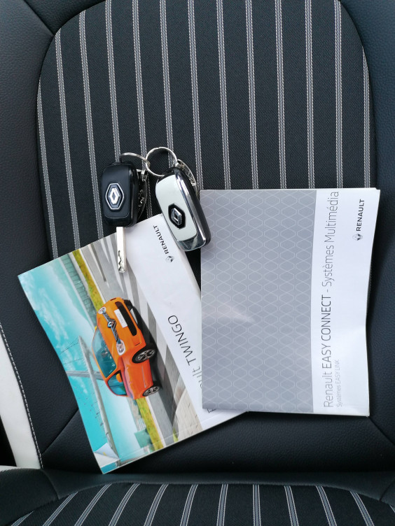 Acheter Renault Twingo 3 Twingo III TCe 95 Intens 5p occasion dans les concessions du Groupe Faurie