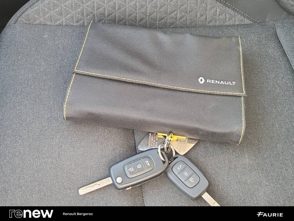 Acheter Renault Clio 5 Clio TCe 100 GPL - 21N Business 5p occasion dans les concessions du Groupe Faurie