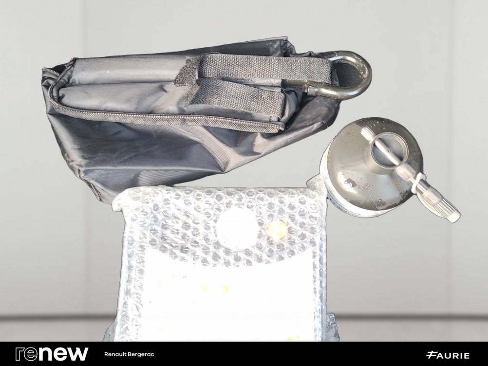 Acheter Renault Clio 5 Clio TCe 100 GPL Evolution 5p occasion dans les concessions du Groupe Faurie