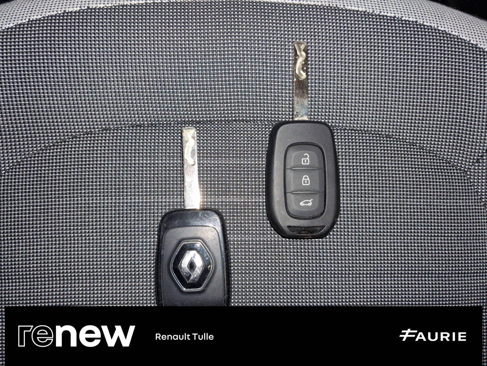 Acheter Renault Twingo Electrique Twingo III Achat Intégral - 21 Zen 5p occasion dans les concessions du Groupe Faurie