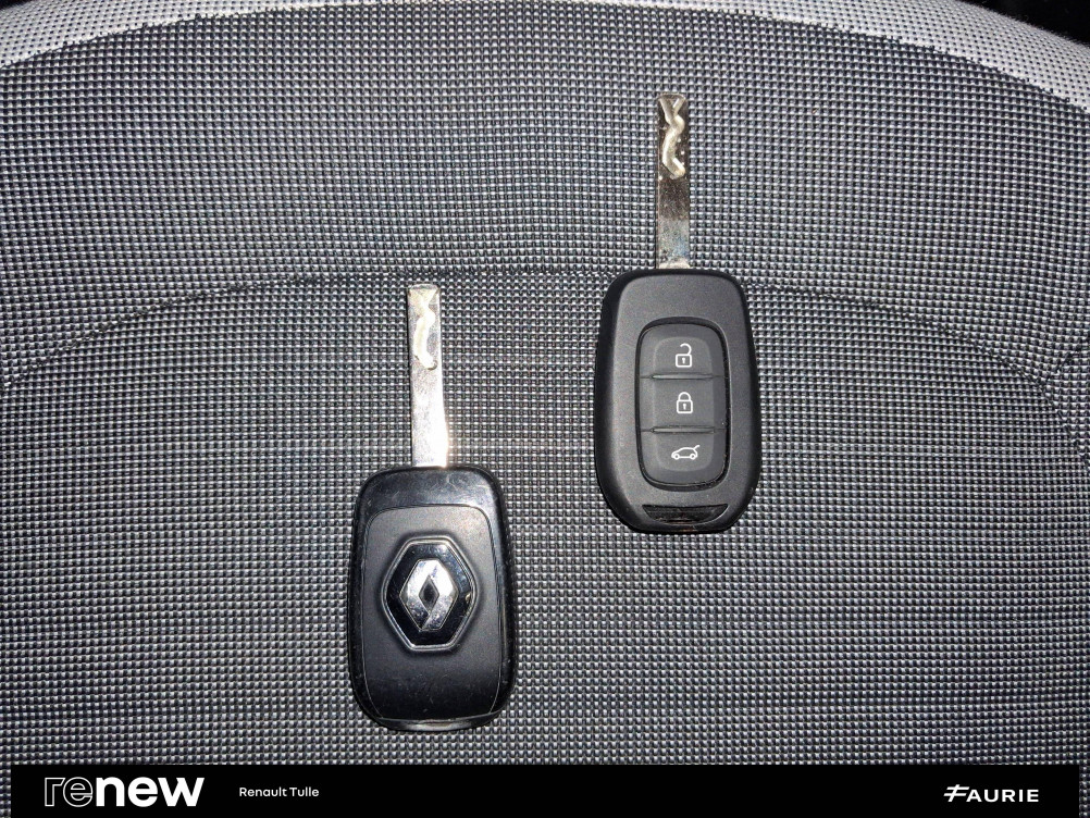 Acheter Renault Twingo Electrique Twingo III Achat Intégral - 21 Zen 5p occasion dans les concessions du Groupe Faurie