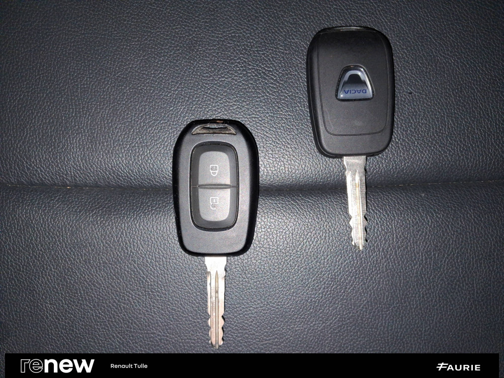 Acheter Dacia Spring Spring Achat Intégral Confort Plus 5p occasion dans les concessions du Groupe Faurie