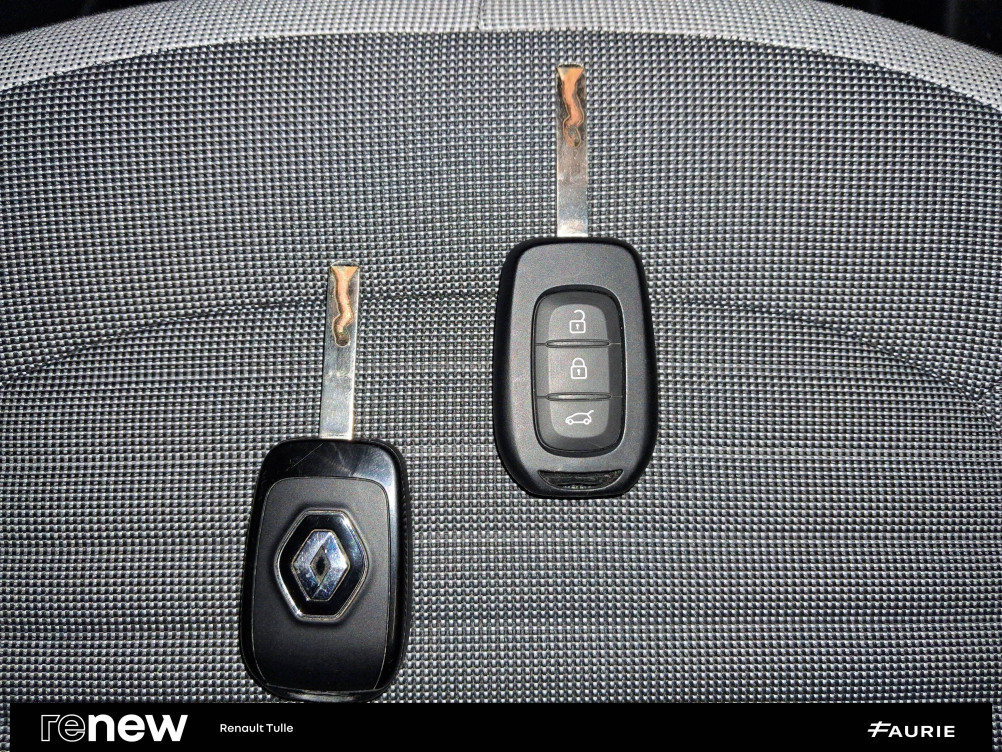 Acheter Renault Twingo Electrique Twingo III Achat Intégral - 21 Zen 5p occasion dans les concessions du Groupe Faurie