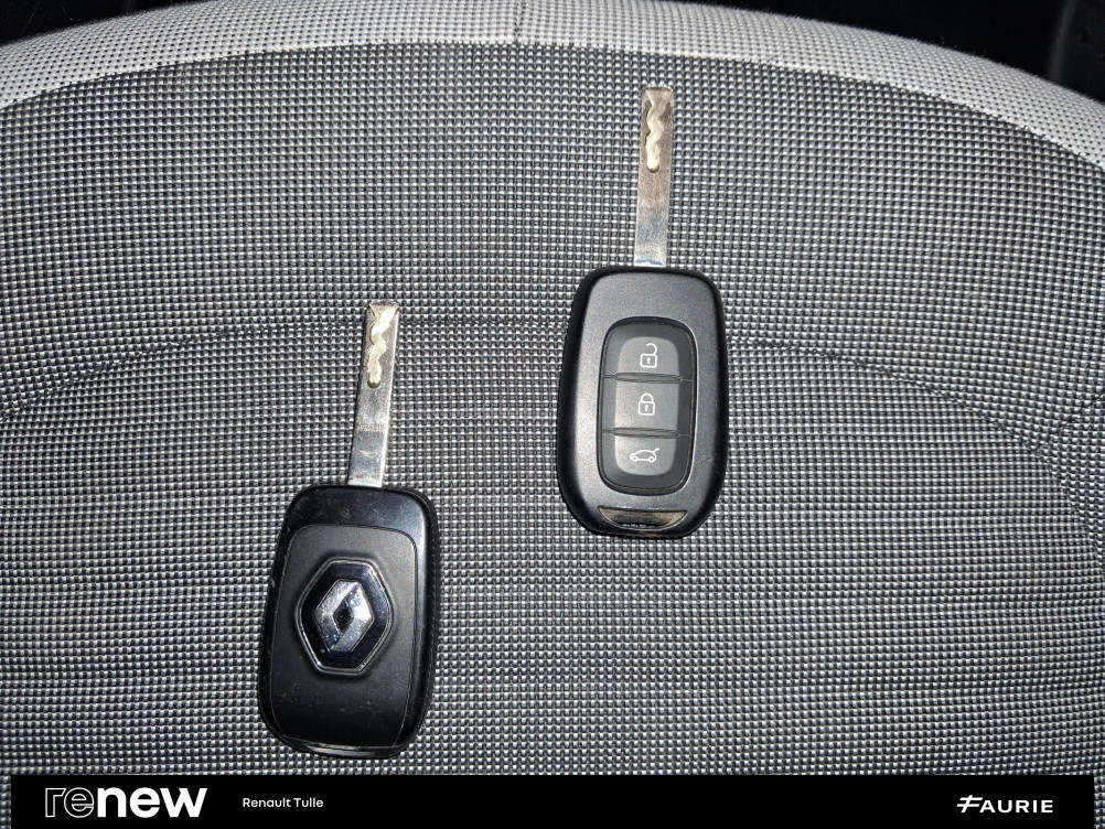 Acheter Renault Twingo Electrique Twingo III Achat Intégral - 21 Zen 5p occasion dans les concessions du Groupe Faurie