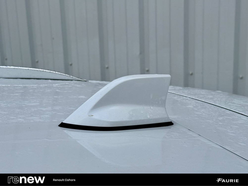 Acheter Renault Kadjar Kadjar TCe 160 FAP Intens 5p occasion dans les concessions du Groupe Faurie