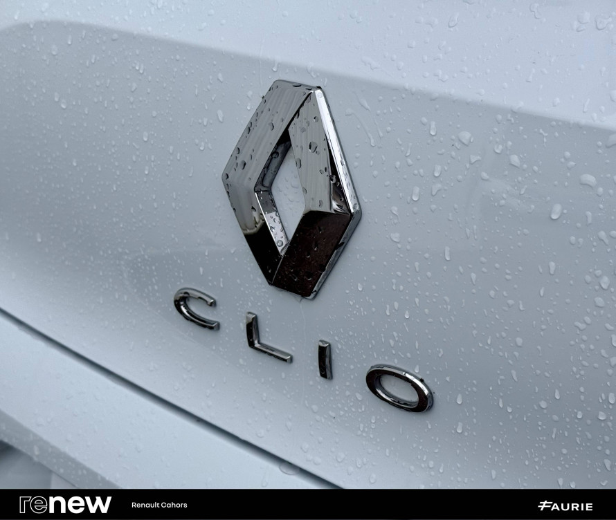 Acheter Renault Clio 5 Clio Blue dCi 100 - 21N Business 5p occasion dans les concessions du Groupe Faurie