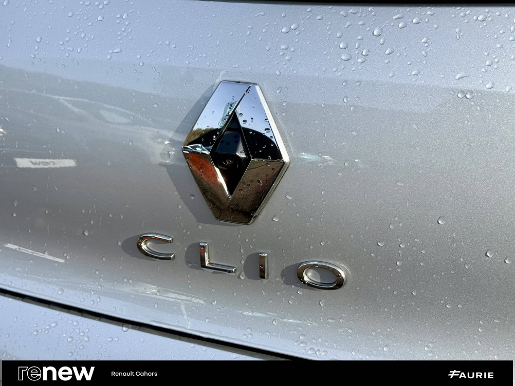 Acheter Renault Zoe Zoe R110 Achat Intégral Limited 5p occasion dans les concessions du Groupe Faurie