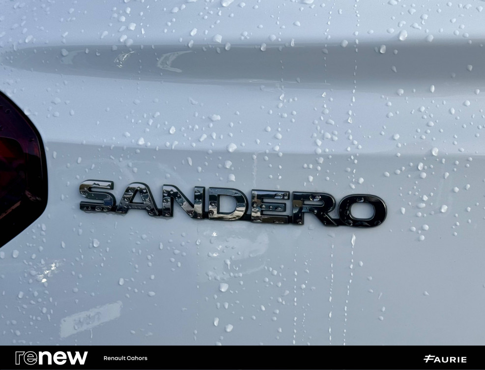 Acheter Dacia Sandero Sandero ECO-G 100 Stepway Confort 5p occasion dans les concessions du Groupe Faurie