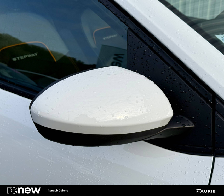 Acheter Dacia Sandero Sandero ECO-G 100 Stepway Confort 5p occasion dans les concessions du Groupe Faurie