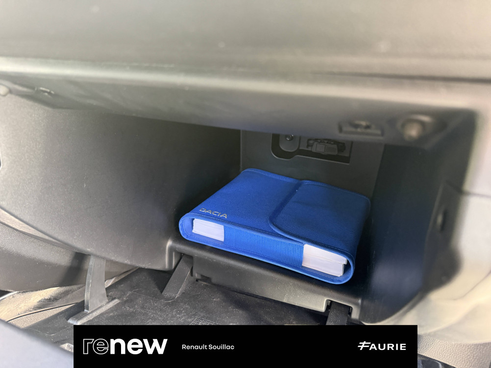 Acheter Dacia Spring Spring Achat Intégral Confort Plus 5p occasion dans les concessions du Groupe Faurie