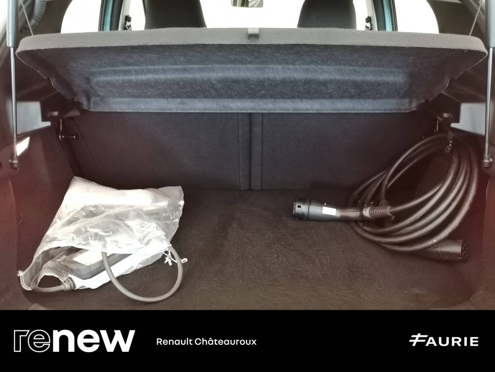 Acheter Renault Twingo Electrique Twingo III Achat Intégral - 21 Zen 5p occasion dans les concessions du Groupe Faurie