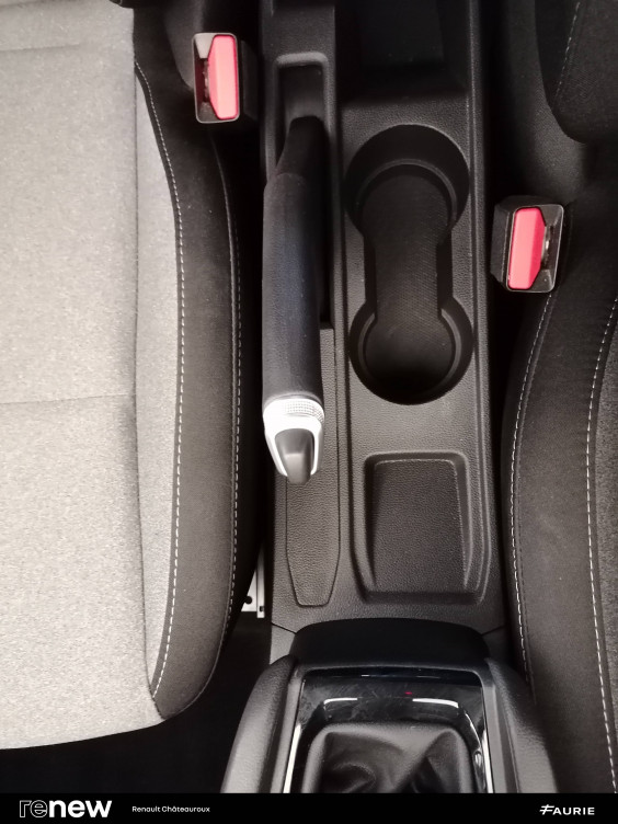 Acheter Renault Clio 5 Clio TCe 100 GPL Evolution 5p occasion dans les concessions du Groupe Faurie