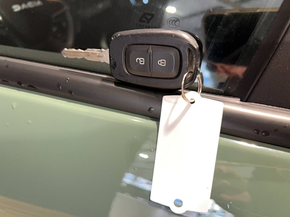 Acheter Dacia Spring Spring Expression 5p occasion dans les concessions du Groupe Faurie