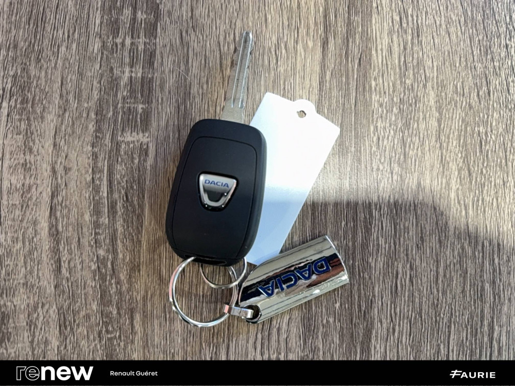 Acheter Dacia Spring Spring Achat Intégral Confort Plus 5p occasion dans les concessions du Groupe Faurie