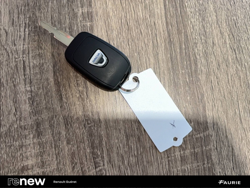 Acheter Dacia Spring Spring Achat Intégral Business 2020 5p occasion dans les concessions du Groupe Faurie